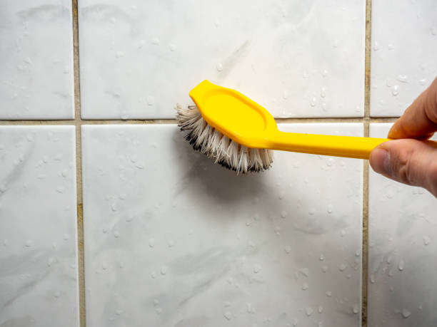 Best Preventive Mold Services in Walnut Cove, NC