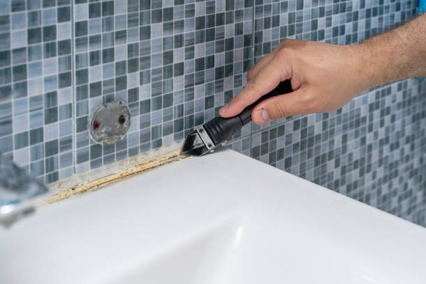 Best Industrial Mold Remediation in Walnut Cove, NC